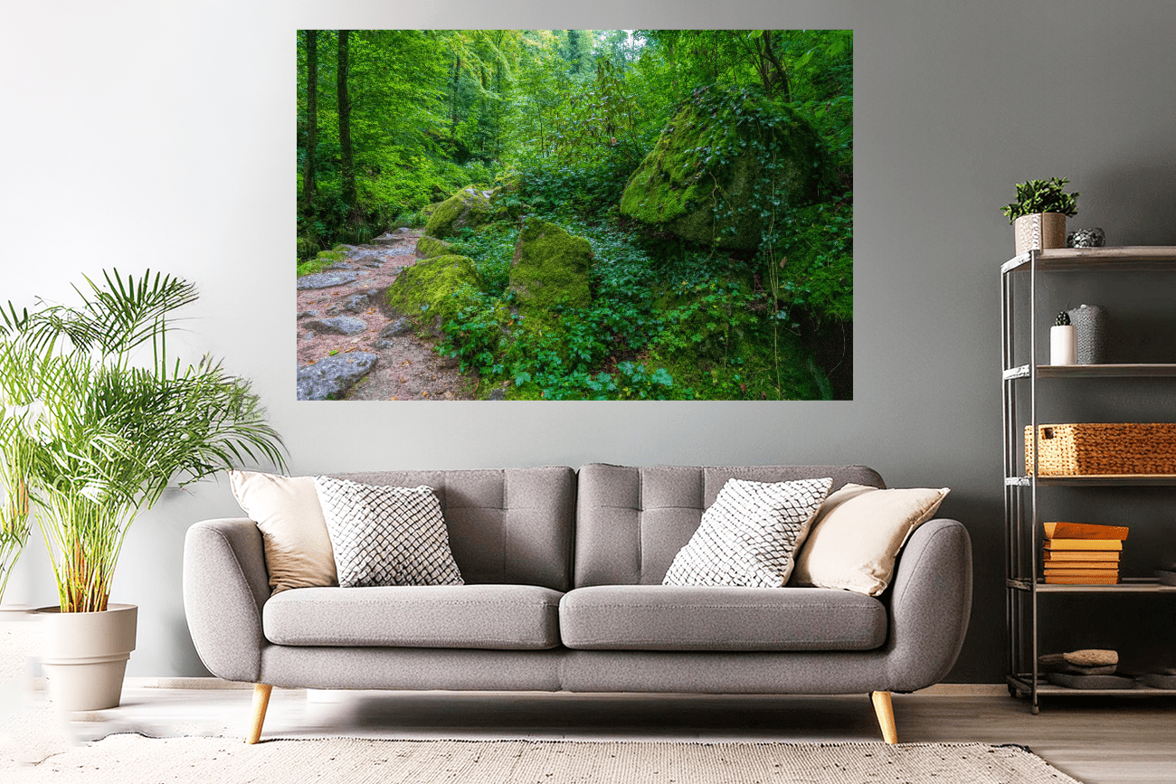 Waldfoto / Poster / Wandbild - Waldweg