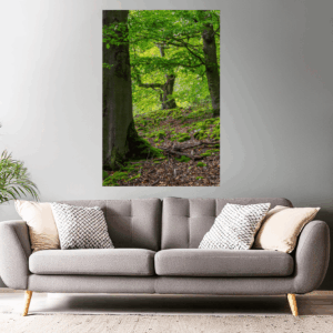 Waldfotografie / Landschaftsfoto Baumskulptur