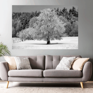 Naturfoto malerischer Baum im Winter / Schnee | Landschaftsfoto