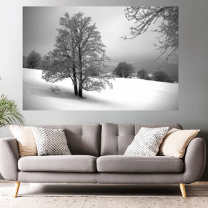 Naturfoto malerischer Baum im Winter / Schnee | Landschaftsfoto