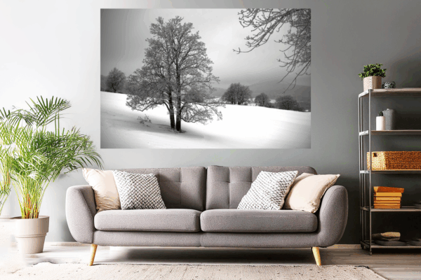 Naturfoto malerischer Baum im Winter / Schnee | Landschaftsfoto