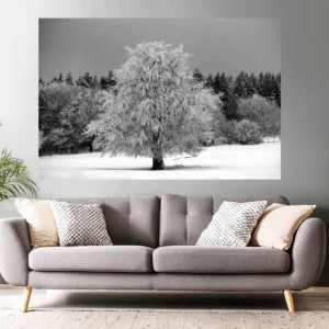 Naturfoto malerischer Baum im Winter / Schnee | Landschaftsfoto