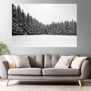 Naturfoto Tannen im Winter / Schnee | Landschaftsfoto