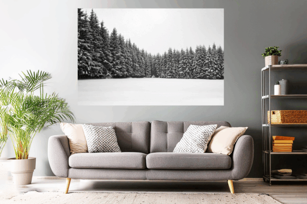 Naturfoto Tannen im Winter / Schnee | Landschaftsfoto