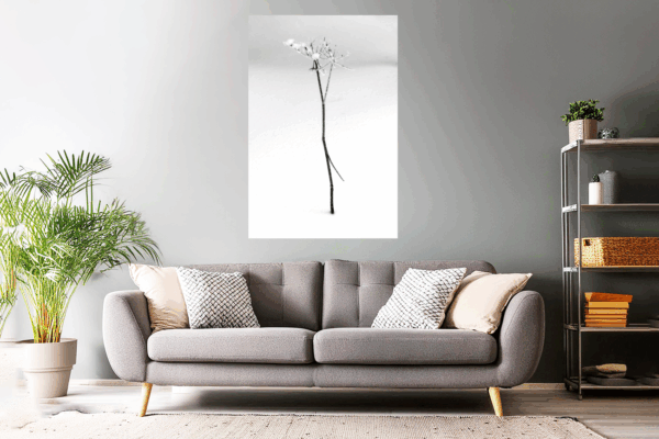 Naturfoto Blume im Winter / Schnee | Landschaftsfoto