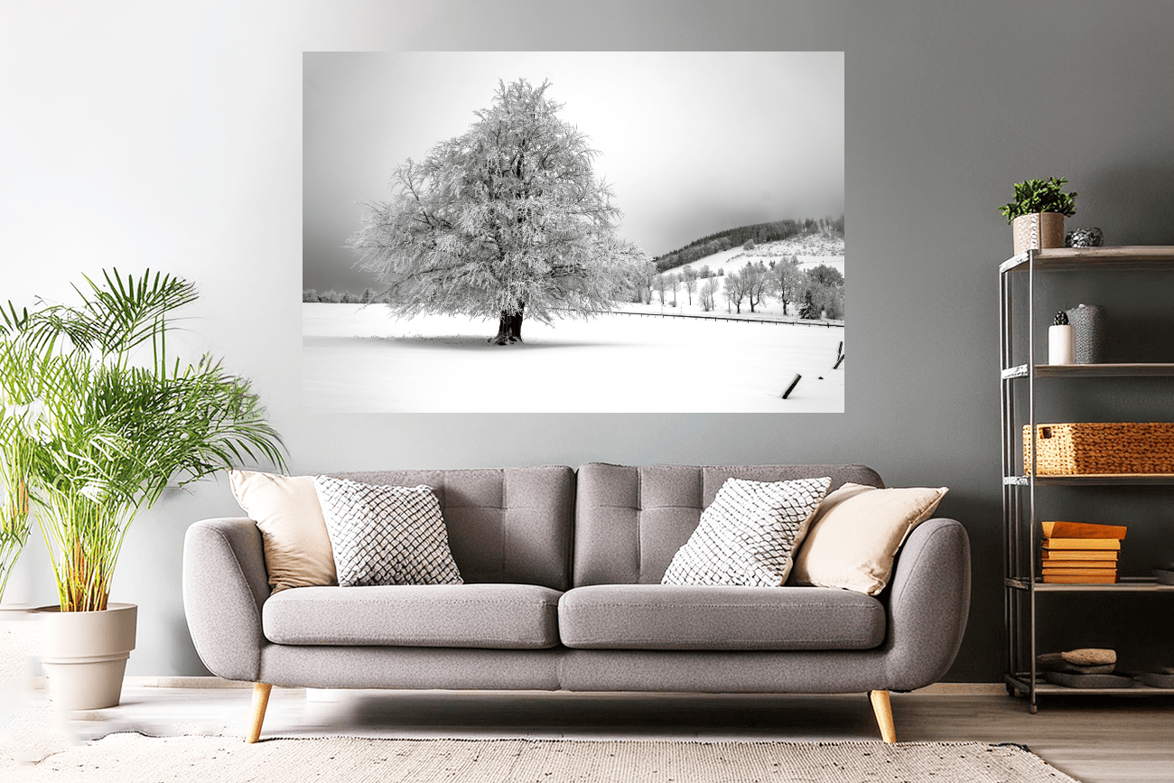 Naturfoto malerischer Baum im Winter / Schnee | Landschaftsfoto