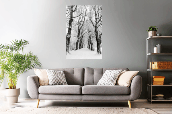 Landschaftsfoto winterliche Allee in der Rhön | Landschaftsfoto in schwarz-weiß