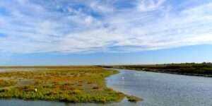 Landschaftsfoto Camargue Landschaft | Poster, Wandbild