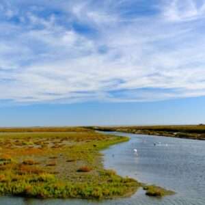Landschaftsfoto Camargue Landschaft | Poster, Wandbild