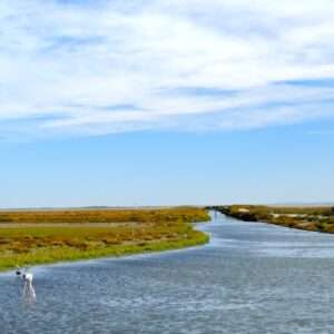 Landschaftsfoto Camargue Landschaft | Poster, Wandbild