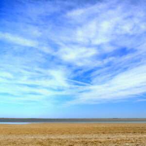 Landschaftsfoto Camargue Landschaft | Poster, Wandbild
