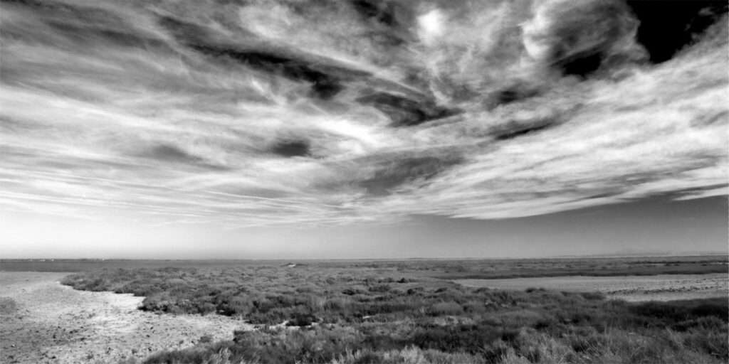 Landschaftsfoto Camargue Landschaft in Schwarz-Weiß | Poster, Wandbild