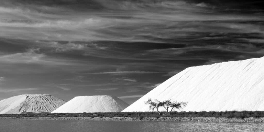 Landschaftsfoto Schwarz-Weiß | Salinen von Aigunes Mortes | Poster, Wandbild