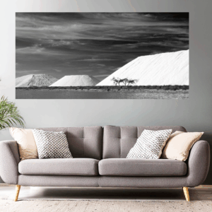 Landschaftsfoto Schwarz-Weiß | Salinen von Aigunes Mortes | Poster, Wandbild