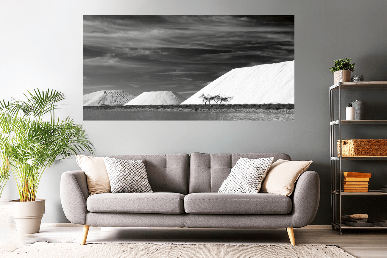 Landschaftsfoto Schwarz-Weiß | Salinen von Aigunes Mortes | Poster, Wandbild