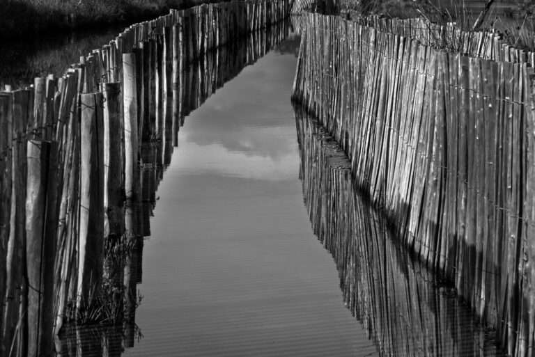 Wandbild Wasserspiegelung Staketenzaun | sw