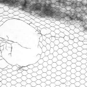 Minimalistische Fotografie | Loch im Zaun