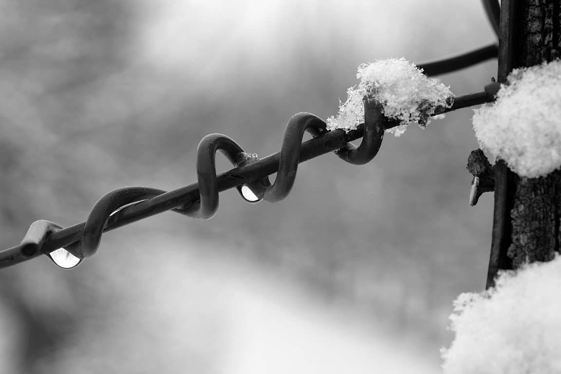 Minimalistische Fotografie | Draht mit Schnee