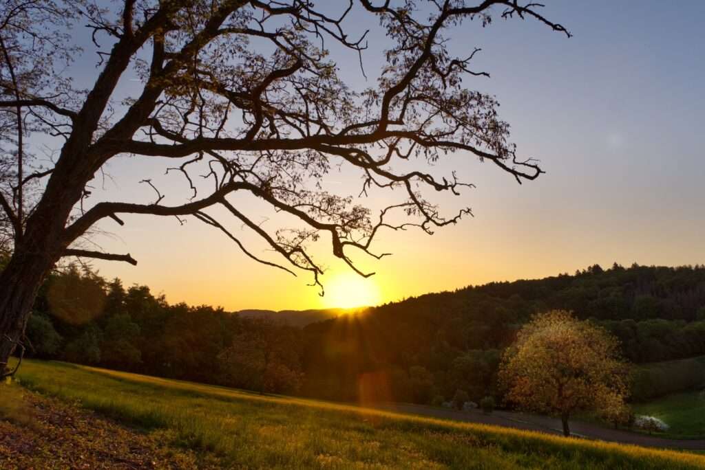 Foto Sonnenaufgang im Odenwald