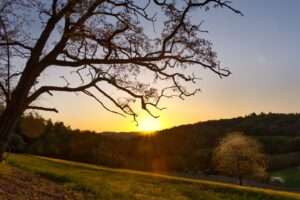 Foto Sonnenaufgang im Odenwald